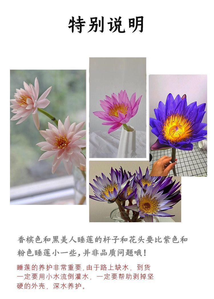 94f771fe-0ac2-4a1c-9bdd-a0dc300e9e52.jpe