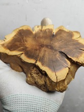 ëόľ°ص|ԭľ|ľ^^pľ쾰ľ̫и