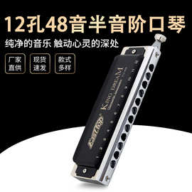 东方鼎12孔48音演奏半音阶口琴（帆布包装) T12-48K 高档礼品外贸