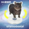 [oiiai旋转猫]