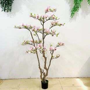 �߶����m�������Gֲ�٘��҃ȿ͏d������ֲ��������b�ֲ��[��