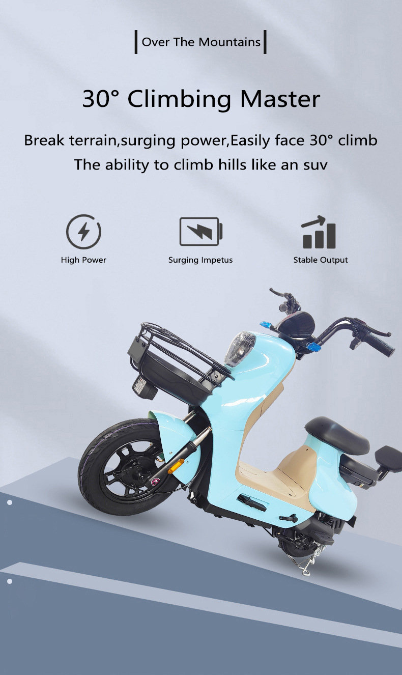 Compact Electric Bicycle Custom Commuter