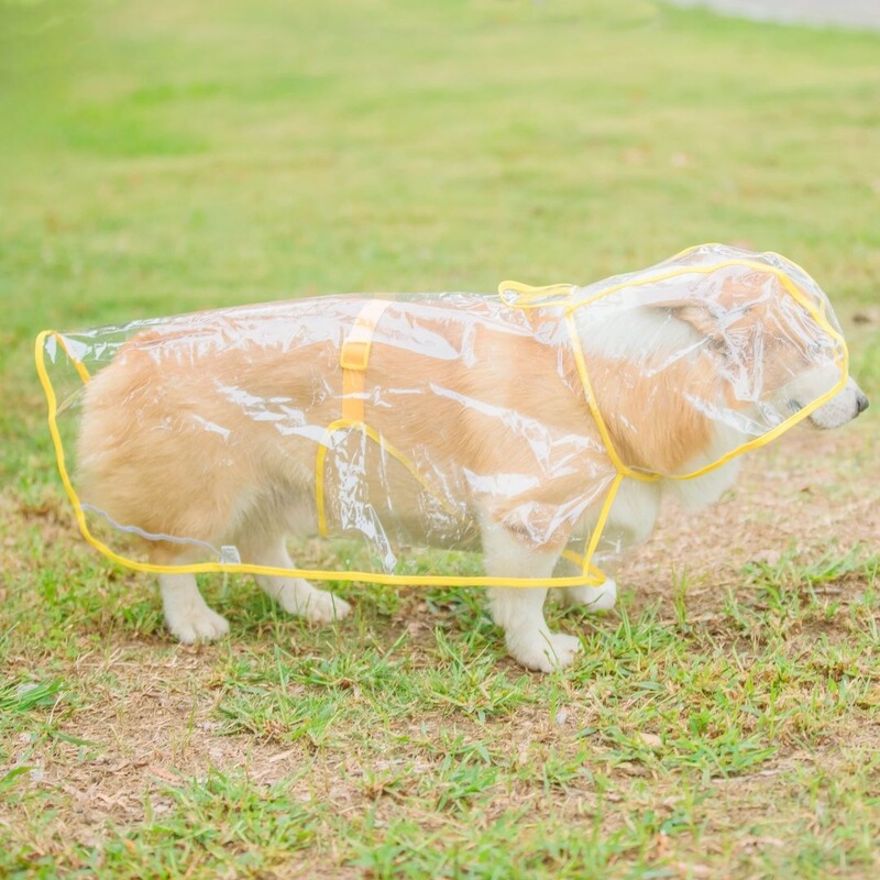 Transparent new dog raincoat for Golden Retrievers and Border Collies, waterproof dog apron, Corgi and Teddy pet one-piece raincoat