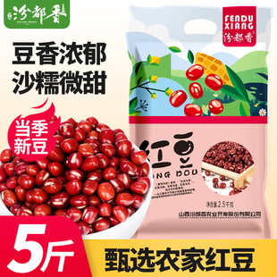 �ڶ���5��|���t���tС���t��޲�׳�С������s�Z��I�B���{2����