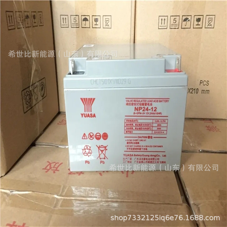 12V24AH1.webp.jpg