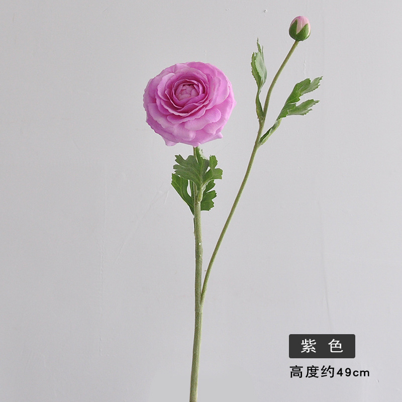 보라색
