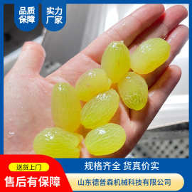 根茎类浆果类通用型果蔬蒸汽去皮机不锈钢果蔬物理去皮机