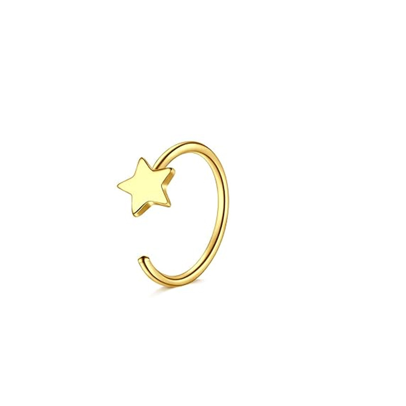 Cross-Border Stainless Steel Stud Gold Basic Ring Nose Clip Small Star Butterfly Fashion Piercing Jewelry Wholesale_voghion.com