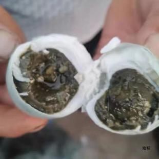 �������������������������������������������ʳ�W�t��羳���l