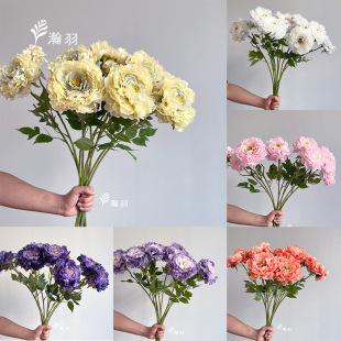ҹĵ�����滨 �Ҿ��b����[���������������Ƶ��c�����廨