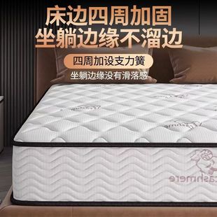 Hilton Five-Star Hotel Simmons Mattress Super Soft Latex Spine Protection Coconut Palm Independent Spring 20cm Thickeneded