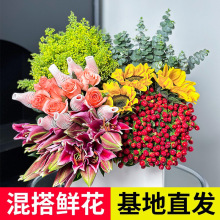 �r����ϻ���ֱ�l���Ի���ֲ���҃ȾGֲˮ�B�廨��ɯõ�����fͬ��