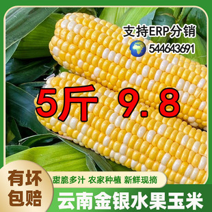 ��ϬFժ���y�pɫˮ��������౬�{���r�����������r���װ�