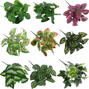 ����Gֲ����� �عϾG�}�^�z�ָ��~ ���໨�����Թ����b���