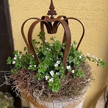 temu���R�d�羳��Ʒ�����F�|�ʹڻ�Y�c���@�b�ƿ/ͥԺ�b�