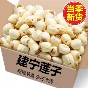 ɏ�Ӹ�؛500g�خa����̶����ɏ��ȥоM��؛�������l���b���x