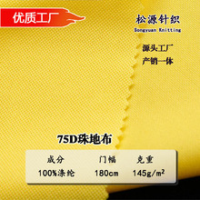 纬编涤纶珠地网眼布吸湿排汗速干衣骑行服工衣运动服汽车顶棚面料