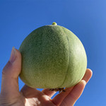 【山东绿宝石甜瓜头茬瓜】 现摘脆甜爽口5斤农家新鲜水果5斤代发