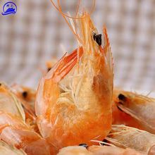 ����� �a�����lɢ�b �����r���r�ɺ��r��؛ ��ʳ500g���r��