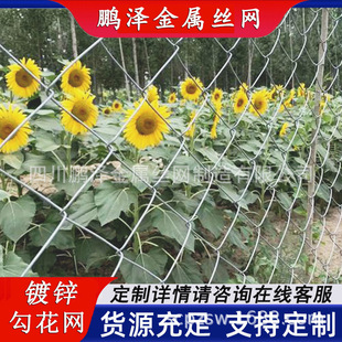 �����W�����Bֳ����䓽z�W�@������ھW��\�M�b�����F�z�W