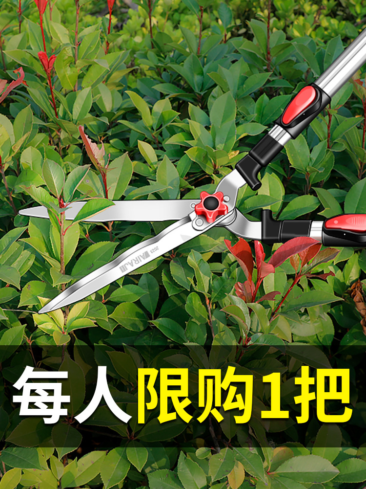 德国精选园艺大剪刀果树枝花园草坪修枝剪日本园林绿化工具绿篱剪