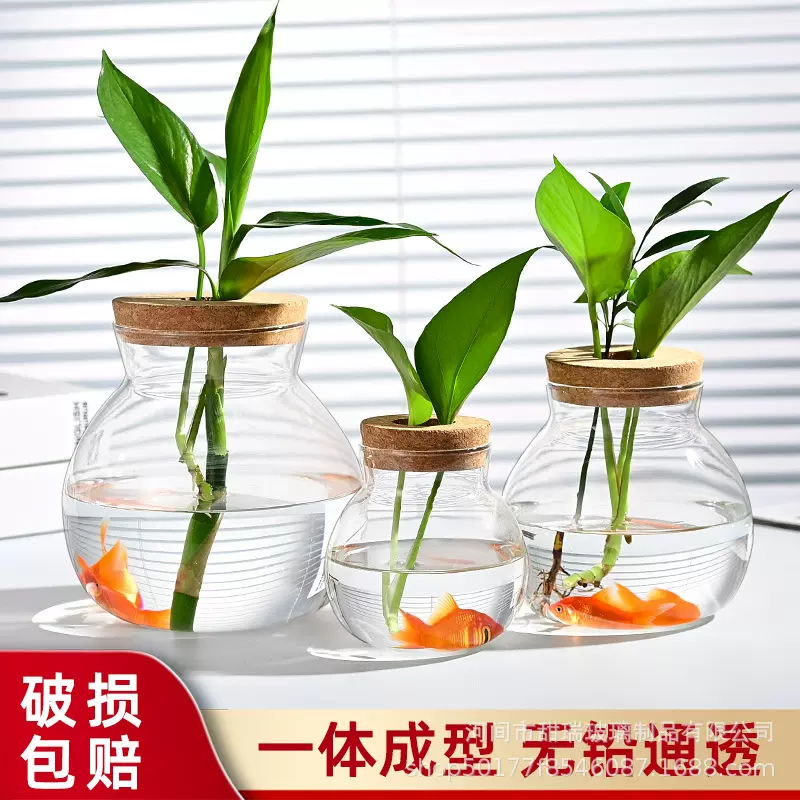 高硼硅水培玻璃植物瓶微景观桌面花瓶 生态鱼缸斗鱼瓶 小水缸器皿