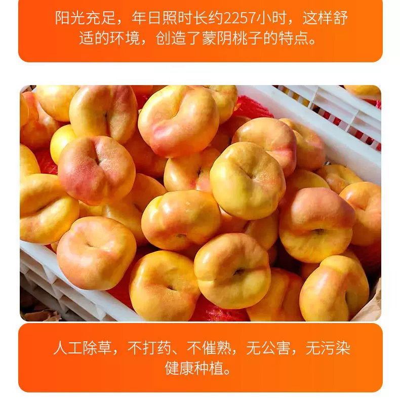 2025蒙阴油蟠桃新鲜水果当季黄心油桃脆甜桃扁桃蟠桃桃彩虹油蟠桃