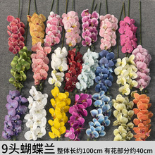 �¿�3D9�^�����m���滨�ٻ���c�ý����b����l��Y���ز��õ���