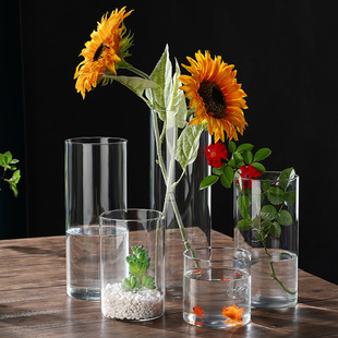 High Borosilicate Glass Vase Straight Cylindrical Hydroponic Plant Bottle Decorative Ornaments Potted Vase Vase Wholesale in Stock