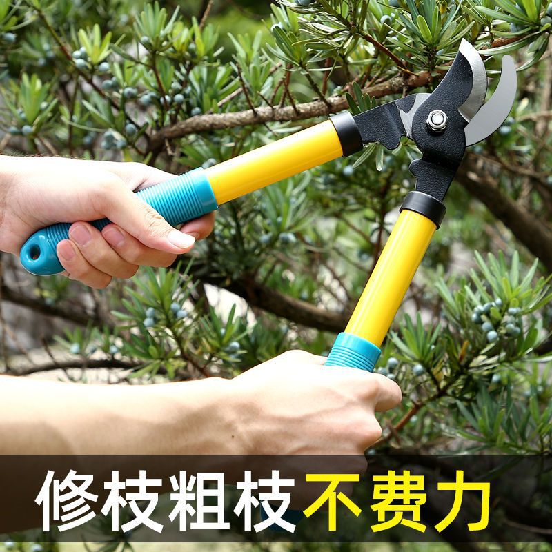 小高枝剪刀省力强力粗枝剪高枝剪树枝剪刀果树园艺剪刀伸缩大力剪