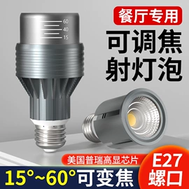 LED玉米灯;LED球泡灯;其他LED光源