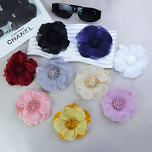 10cm��ʽɽ�軨��ˇ����ֹ������_��Ȧ�ִ�d���ٴ�r��