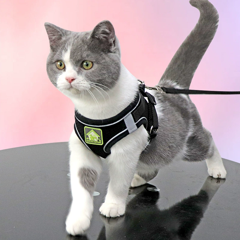 ✅ Стильный жилет с антиразрывной веревкой для кошек, интернет-хит, поводок для прогулок с короткошерстными кошками, цепочка для питомца, шлейка для кошек.