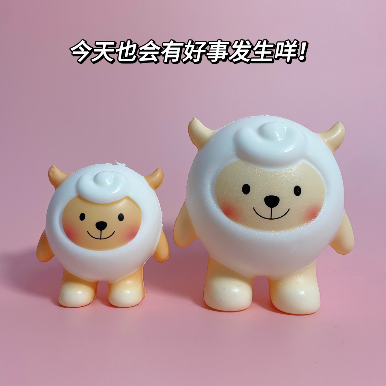 양과 양 핀치 큰 크기