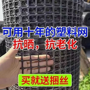 �B�u�B�����χ��ھW�����Bֳ�W���ھW���@�~�����ڲˈ@���o���x�W