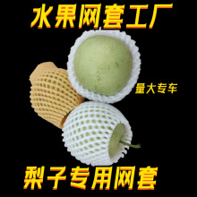 ���ӾW�ײ�ɫ�Ӻ�ˮ�����o������ʹ��������������b�W���W���