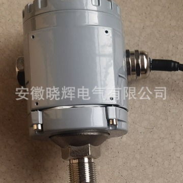 振动变送器XZD-YB一体化振动变送器