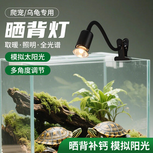 �����񱳟��������؟�uva��������������������w��ˮ���