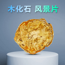 奢华摆件工艺艺术品矿石标本风景片杯垫摆饰天木化石标本然宝石