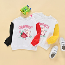 童装卡通兔兔圆领卫衣2025秋季新款拼色长袖洋气时髦T恤现货批发