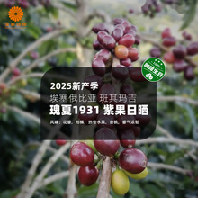 �������ȁ��M�ڰ��䬔������1931�Ϲ��Օ�Ʒ��������2025�®a��