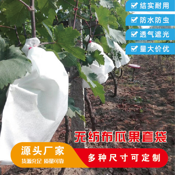 不織布の果物の袋のニガウリのメロンの羊の角の蜜の防針の蜂の防鳥の防虫の通気性の保護の専用の袋|undefined