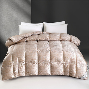 160֧Ứ֧ԳqZq߶˼qо׾Ƶ궬