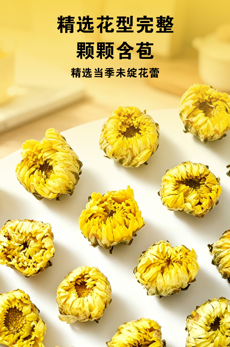 Tai Ju (Chrysanthemum morifolium) Dried Flower Buds — Sulfur-Free Tongxiang Herbal Tea, 500g in use