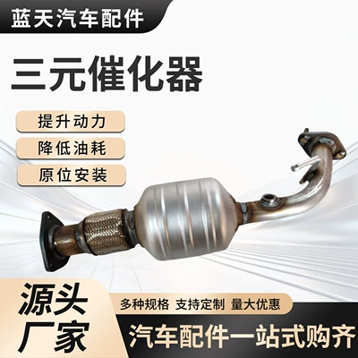 The Manufacturer Supplies a Catalytic Katalizator