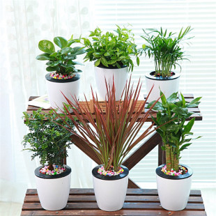 �G�}��ȸ��������������Ҭ���_�h�ɰlؔ�����򻢴�÷�������Ժ�