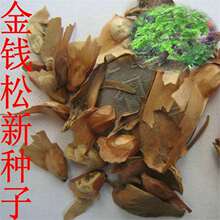 �²ɽ��X�ɷN�� �ɘ�N����ľ �G����ľ�N�ӽ��X�ɷN�� ���ɷN��