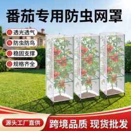 番茄防护罩果树大棚菜园蓝莓纱网防虫罩跨境果树植物防虫网罩