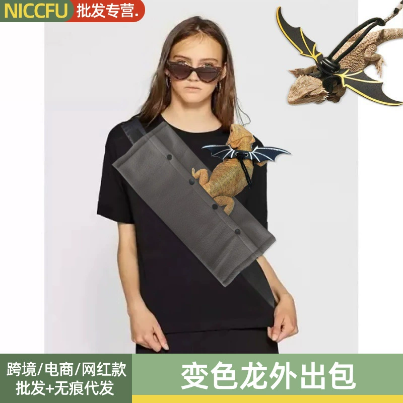 NC Ящерица-Хамелеон из сумки Тоторо морская свинка домашнее животное из сумки Дорожная сумка прогулочная ящерица нагрудный рюкзак