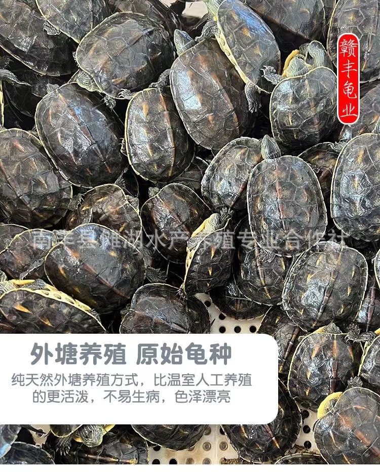 微信图片_20221104125827